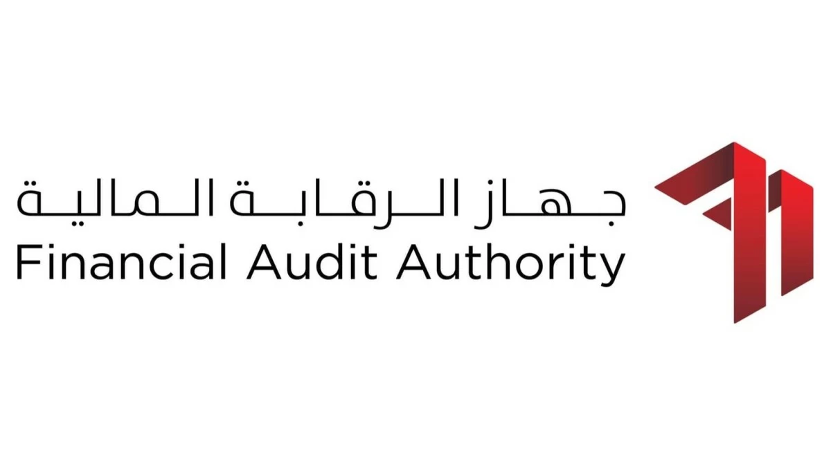 Financial audit
