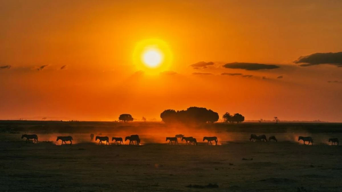 Kenya 
Photo credit: Sammy Wong/Unsplash