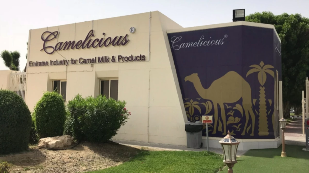 Camel milk revolution: How Dubai’s Camelicious is taking over global wellness