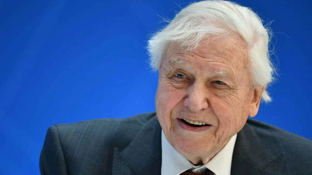 David Attenborough turns 100: Britain's iconic 'Voice for Nature' celebrates a century