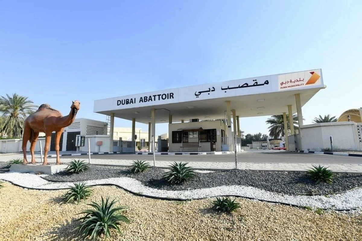 These preparations form part of an advanced operational ecosystem supported by the latest technologies and equipment to ensure the delivery of integrated services in line with the highest standards of public health and food safety, while providing customers with a safe and seamless experience across Dubai’s abattoirs.
Photo credit: Dubai Municipality