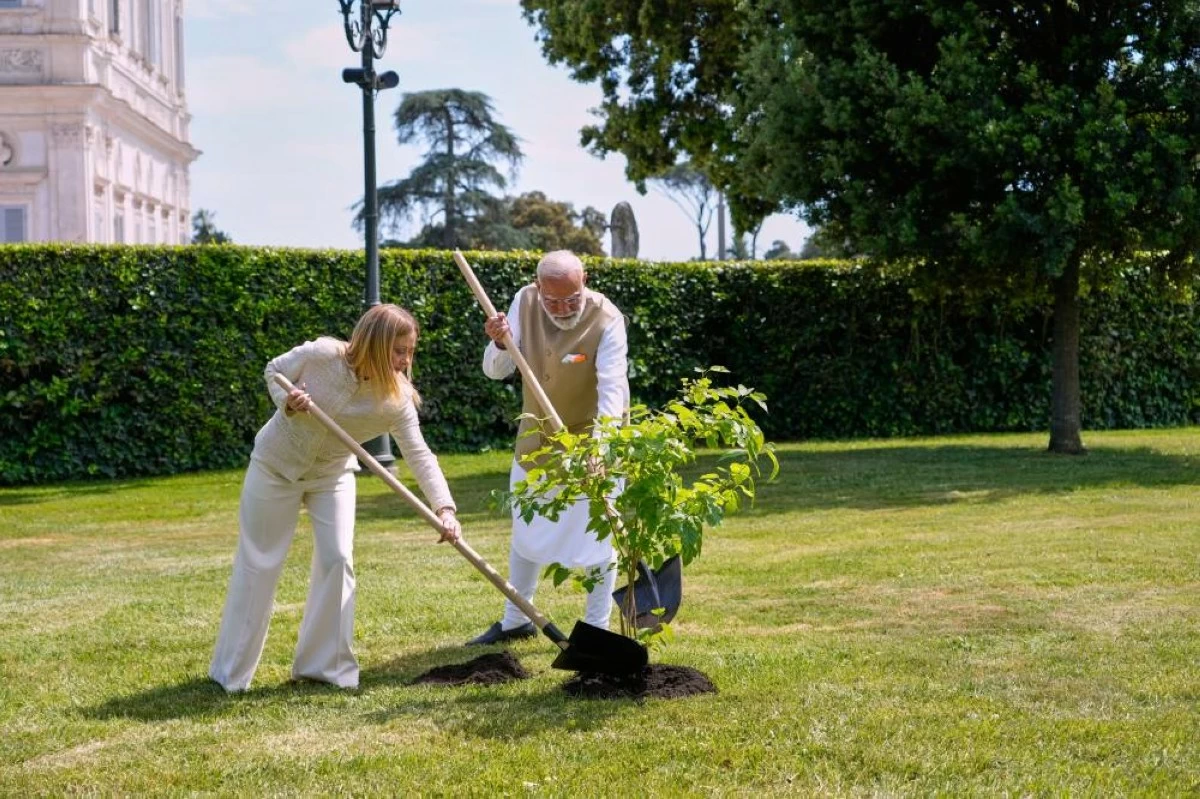 Italian Premier Giorgia Meloni, left, and India's Prime Minister Narendra Modi plant a mulberry tree donated by Modi in the gardens of Villa Doria Pamphili in Rome, Wednesday, May 20, 2026. (AP Photo/Gregorio Borgia)