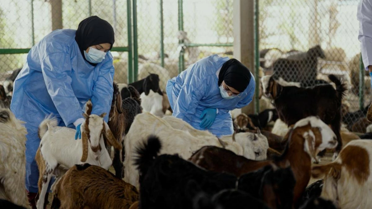 The Ministry confirmed that its field teams and specialised veterinary staff are working round the clock. Picture credit: Supplied