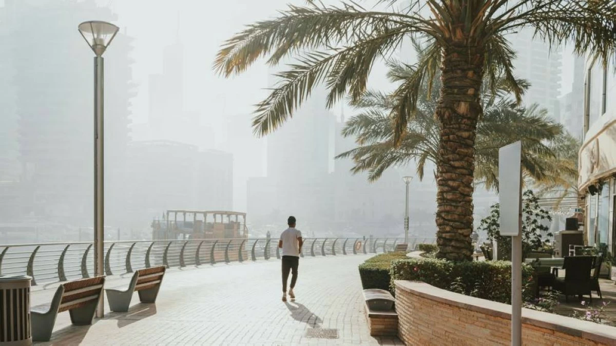 You might experience morning fog or mist on Monday morning in some internal and coastal areas. Picture credit: Pexels