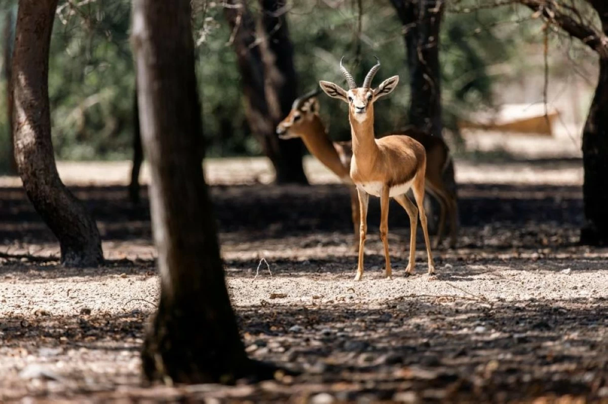 The plan includes 142 adaptation actions extending through 2050, including 86 projects to be implemented over the next five years. Picture credit: WAM