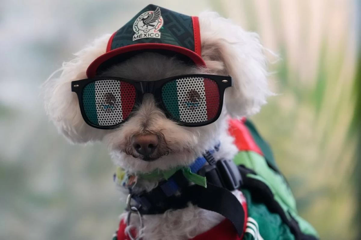 A dog named Osito wears a Mexico national team jersey and rides in a bicycle basket of Jorge Rangel before a World Cup Group A soccer match against South Korea in Mexico City, Thursday, June 18, 2026. (AP)