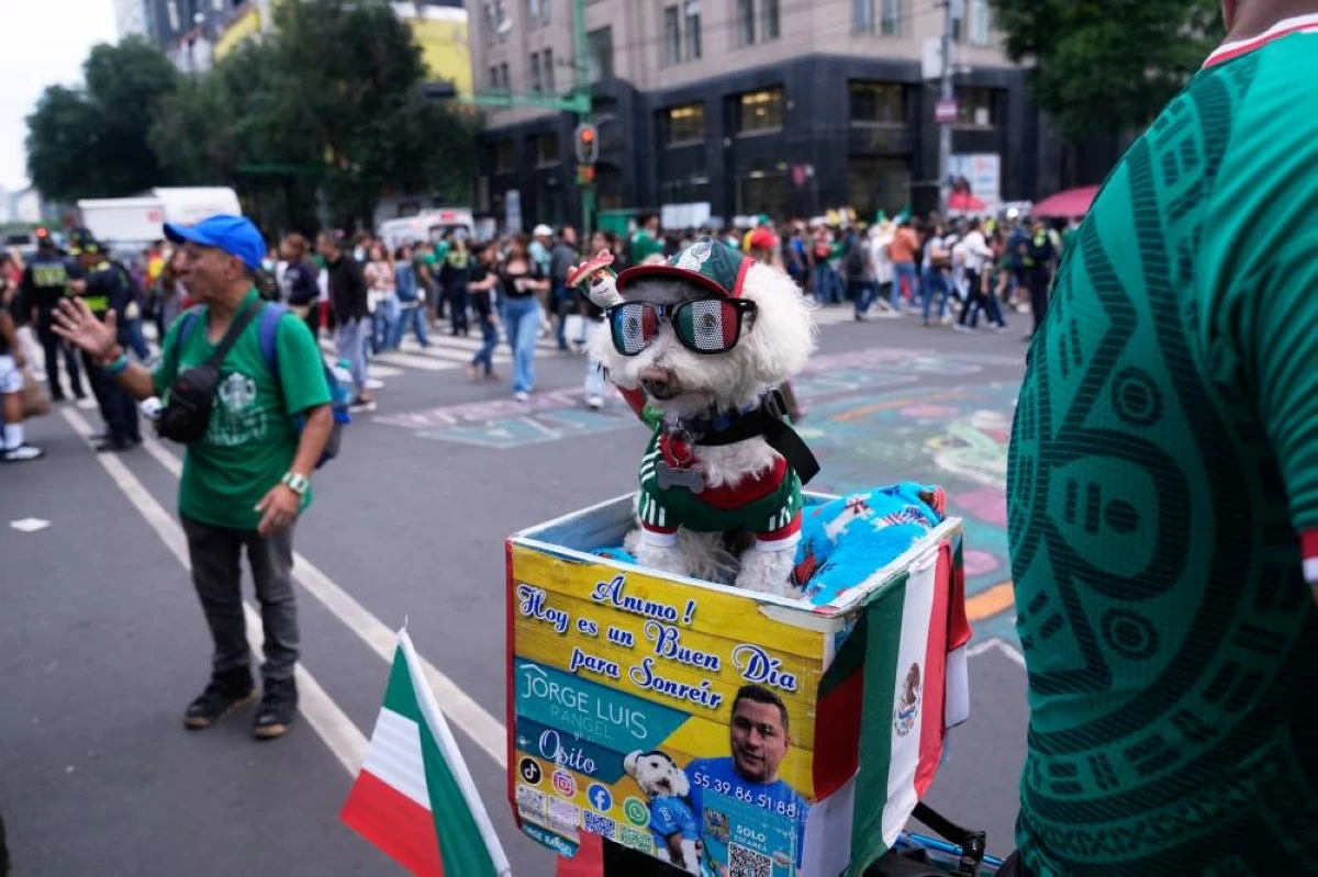 Osito wears a Mexico national team jersey and rides in a bicycle basket of Jorge Rangel before a World Cup Group A soccer match against South Korea in Mexico City, Thursday, June 18, 2026. (AP)