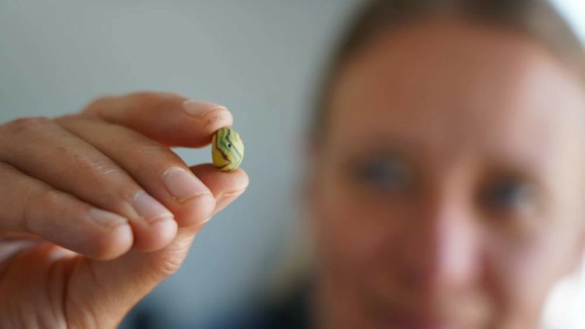 Moesgaard Museum archaeologist Liv Stidsing Reher-Langberg holds a Viking Age glass bead unearthed in Aarhus, Denmark, on June 22, 2026. (AP Photo/James Brooks)