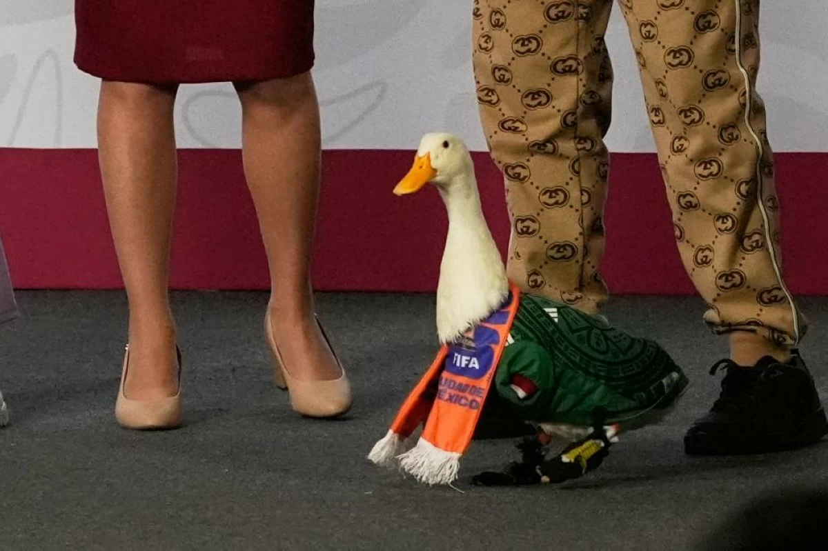 Merlin the duck, dressed in a Mexican national soccer team jersey, attends the daily press conference by Mexican President Claudia Sheinbaum, left, along with his caretakers Carla Gomez and her sons Carlos and at the National Palace in Mexico City, Monday, June 22, 2026. (AP Photo/Marco Ugarte)