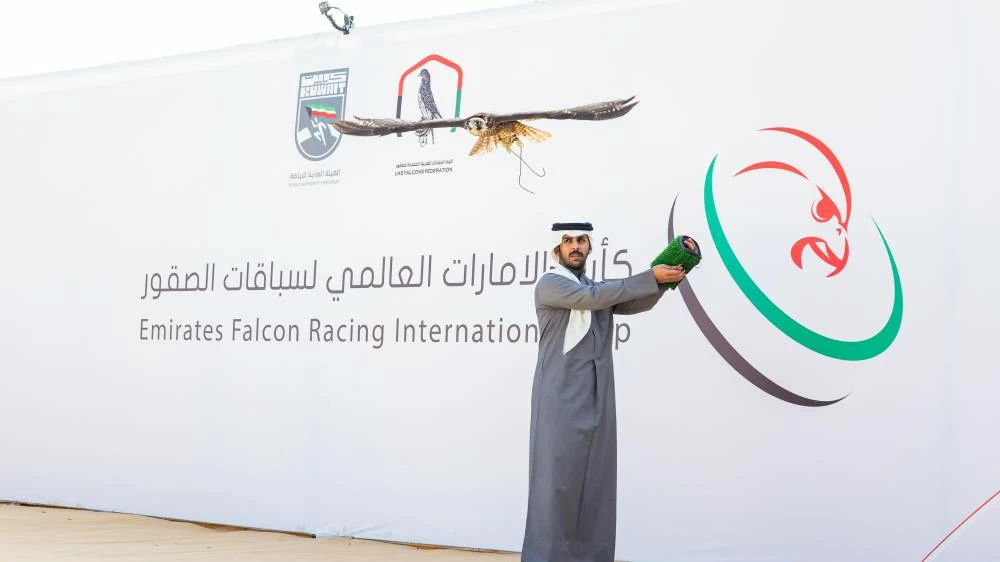 EMIRATES_FALCON
