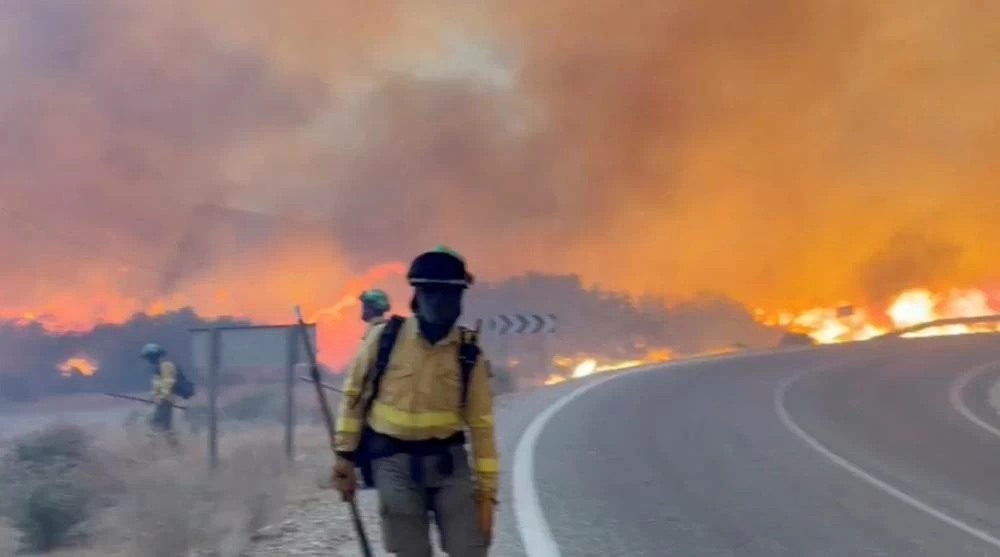 Twelve killed in fast-moving southern Spain wildfire, officers say