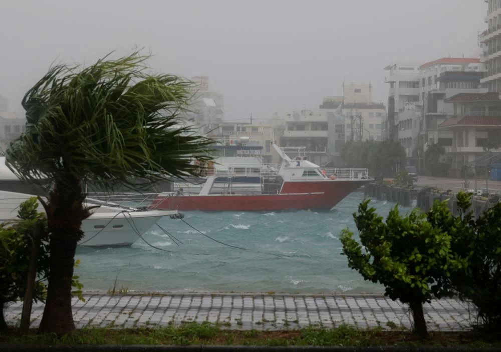 Strong wind rattles trees at a port as Typhoon Bavi passes through, in Ishigaki, Japan, July 11, 2026. REUTERS