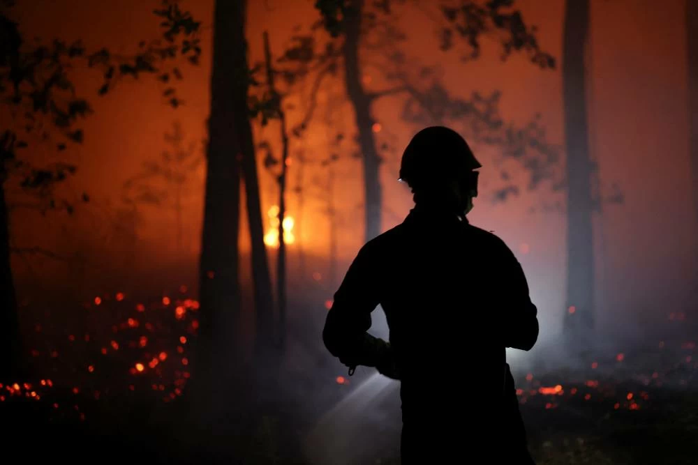 Firefighters fight Fontainebleau wooded area hearth close to Paris as two arrested