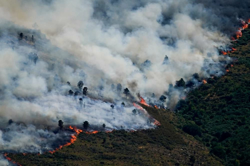 Spain broadcasts nationwide emergency over wildfires close to Madrid and in Avila