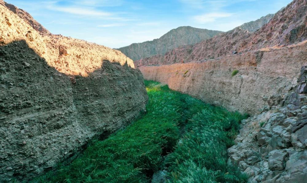 Wadi Wurayah in Fujairah added to UNESCO World Heritage List, marking UAE milestone