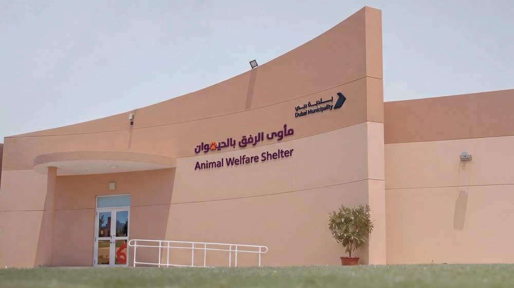 Dubai Municipality Strengthens Animal Welfare with New Integrated Pet Shelter and Digital Adoption Platform