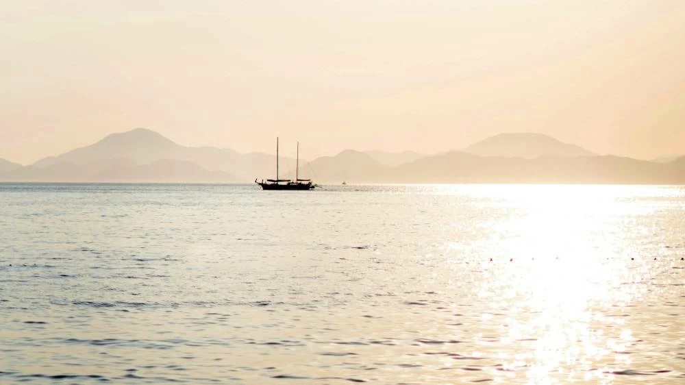 Mediterranean Sea warming draws hundreds of invasive species