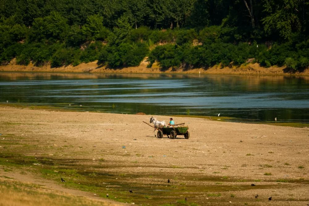 A man rides his horse-pulled cart on a bank of sand on the Danube River, as usually submerged areas are exposed due to extreme low levels of the water following an extended period of drought in Roseti, Romania, Wednesday, July 29, 2026. (AP)