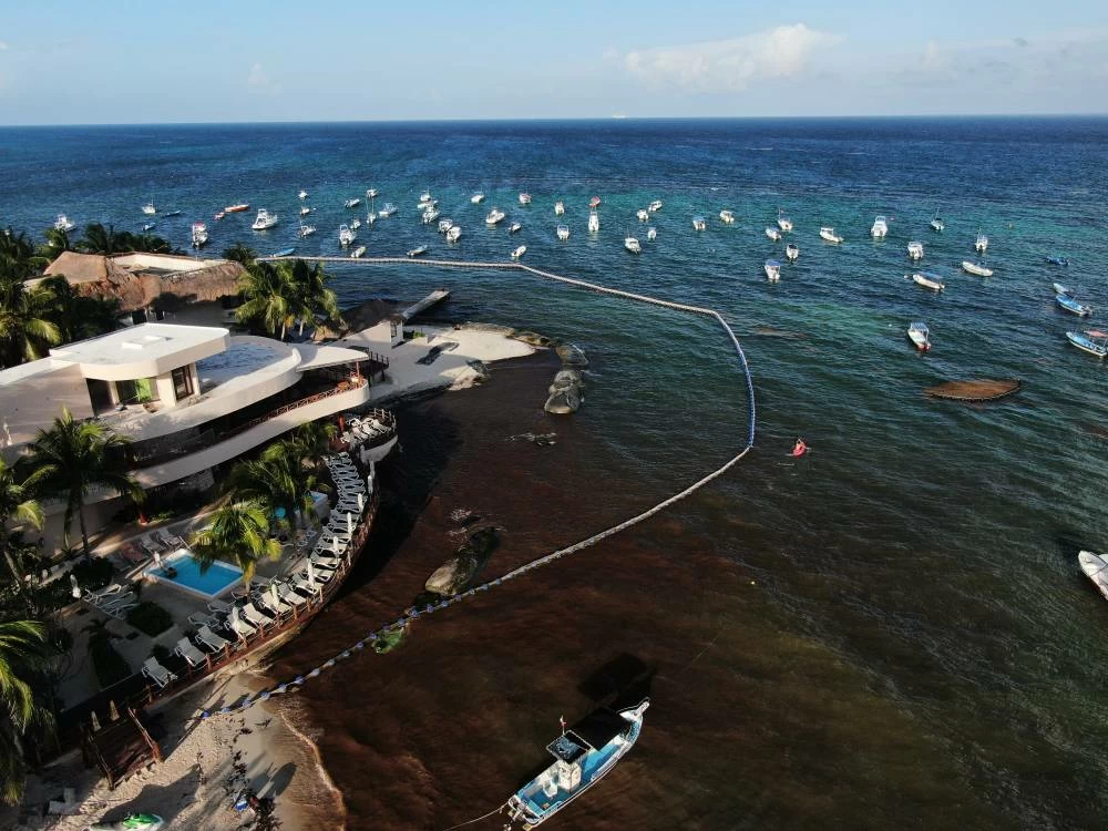Sargassum accumulates along the shoreline near a marina in Playa del Carmen, Mexico, Wednesday, July 29, 2026. (AP)