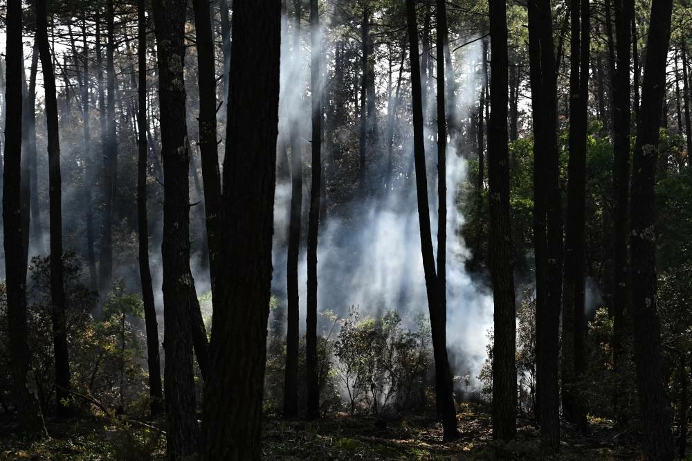 Bordeaux wildfire contained as firefighters battle separate blaze in southern France