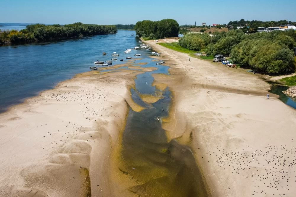 A usually submerged patch of land rises from the surface of the Danube River due to low levels of the water following an extended period of drought in Corabia, Romania. Picture credit: AP