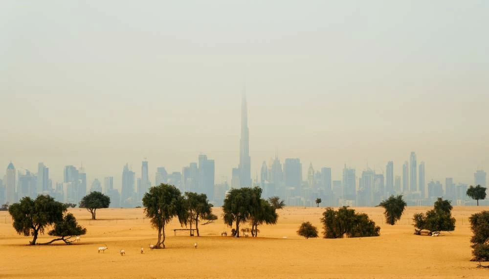 UAE weather forecast: NCM predicts weekend rain, dust and highs of 49°C