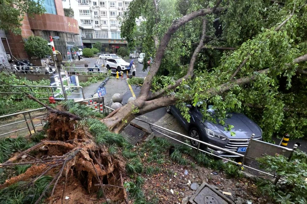 A car is pinned by a fallen tree in the aftermath of Typhoon Dolphin in Wenzhou in eastern China's Zhejiang province, Monday, Aug. 10, 2026. AP