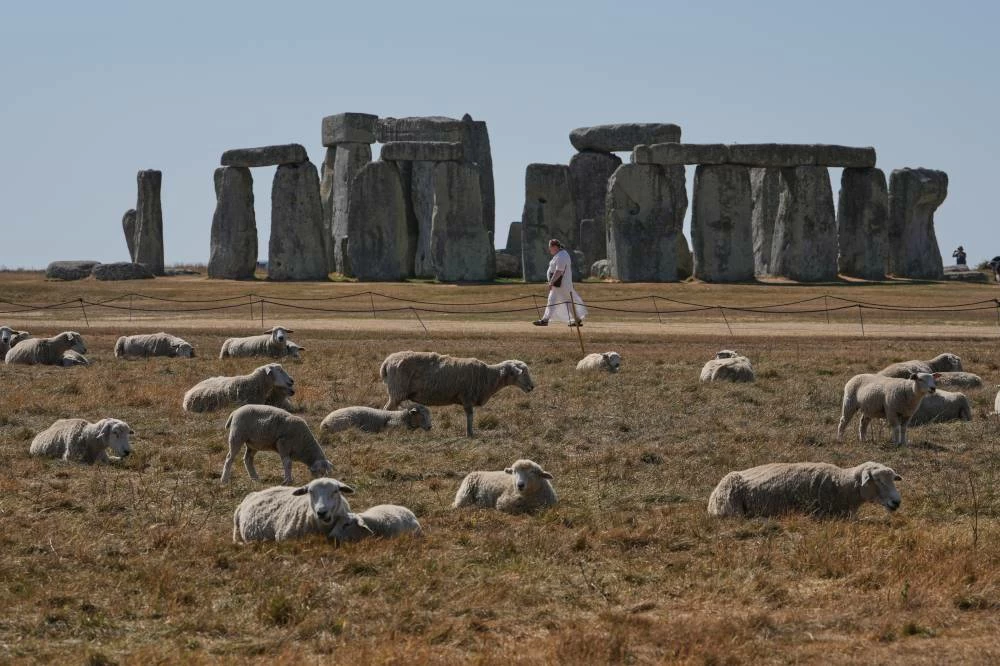 A flock of sheep grazes amid dried grass next to the ancient stone circle at Stonehenge in Wiltshire, England, Thursday. Picture credit: AP