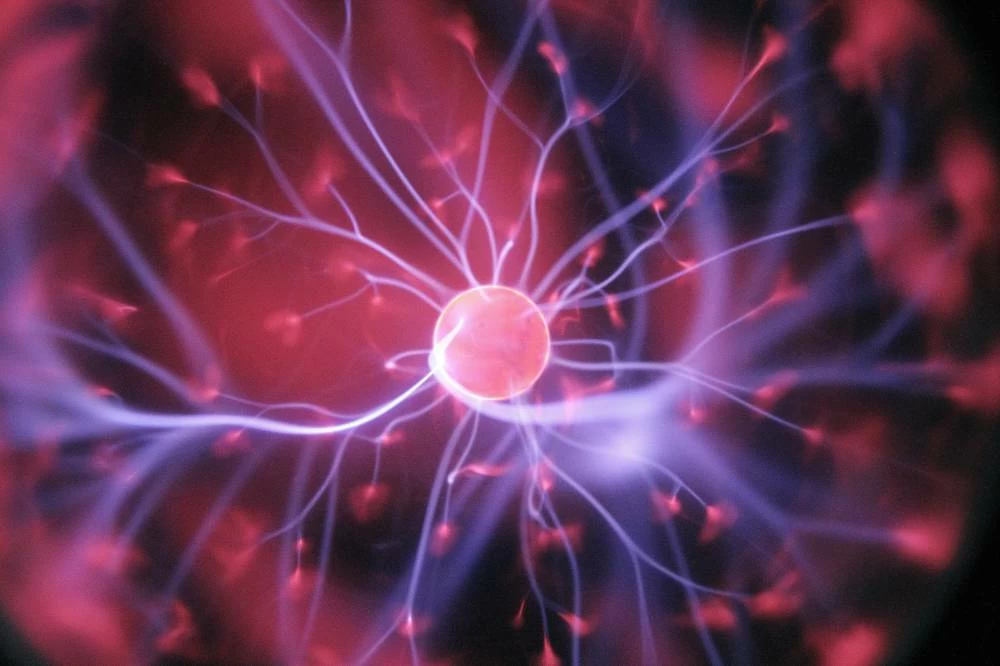 Brain receptors function as natural brake to halt chronic pain, study finds