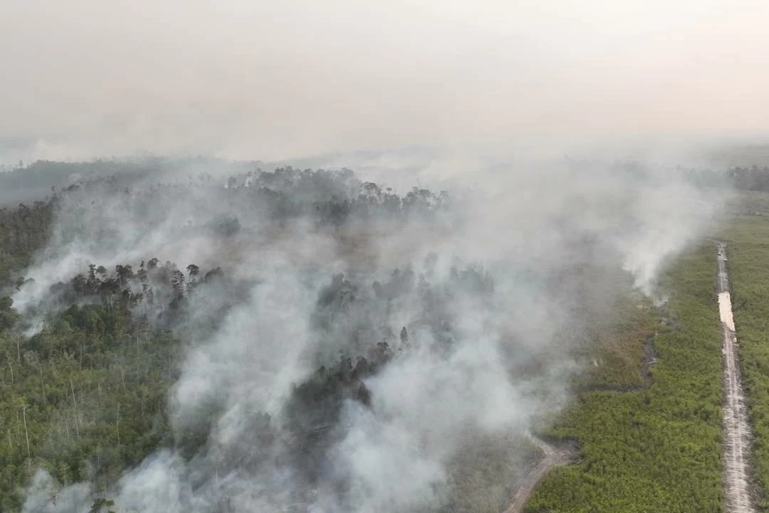 In this aerial photo relased by Indonesia's National Disaster Mitigation Agency (BNPB) on Friday, Aug. 21, 2026, smoke billows as a wildfire razes through a peatland forest in Bulungan, North Kalimantan, Indonesia. AP