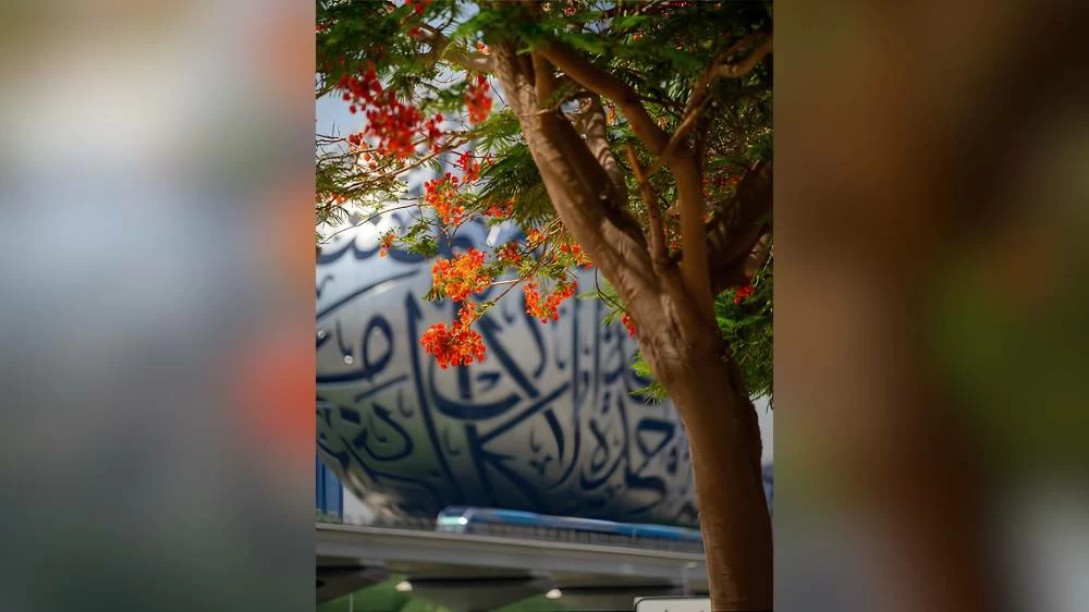 Second place winner: Louna Tanik Al Janabi