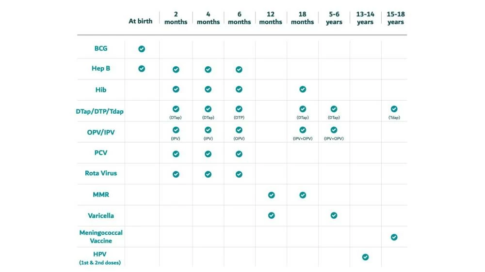 The updated children's immunisation schedule, issued by the DHA in 'A Parent's Handbook On Childhood Vaccinations'. Picture credit: DHA