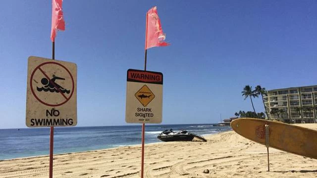 Authorities launched an extensive air and sea search, but the swimmer died as a result of the attack. File photo of 'No swimming' sign on a beach is used for illustrative purposes.