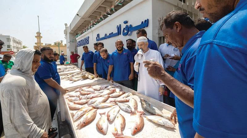 The broker's experience in the market enables him to estimate the value of the fish on offer and determine the appropriate price to start the bidding. Picture credit: Yamani Al Afari