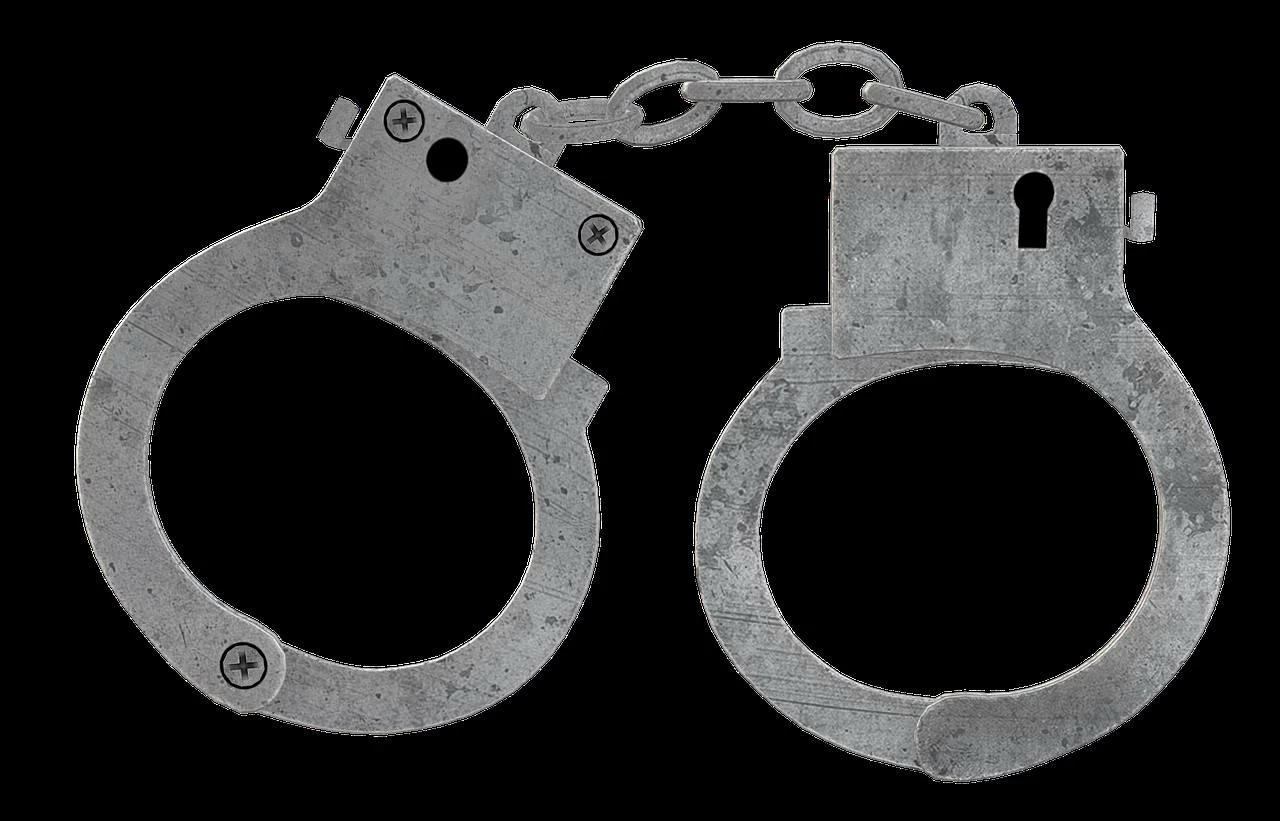 The Public Prosecution charged the 35-year-old defendant with two offences: driving a vehicle without a licence authorising him to operate that category of vehicle, and using a motor vehicle without the permission or consent of its owner.