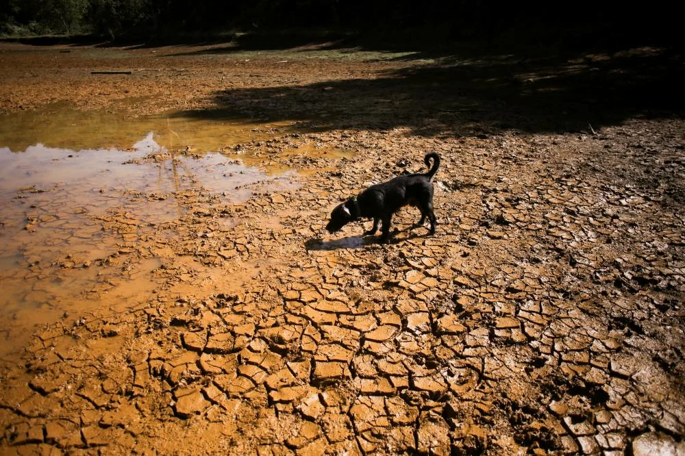 File photo: A dog walks on cracked ground at the dried-up Guarne Lagoon in Arvi Park amid drought conditions linked to the El Nino phenomenon, in Medellin, Colombia, September 3, 2026. (Reuters)