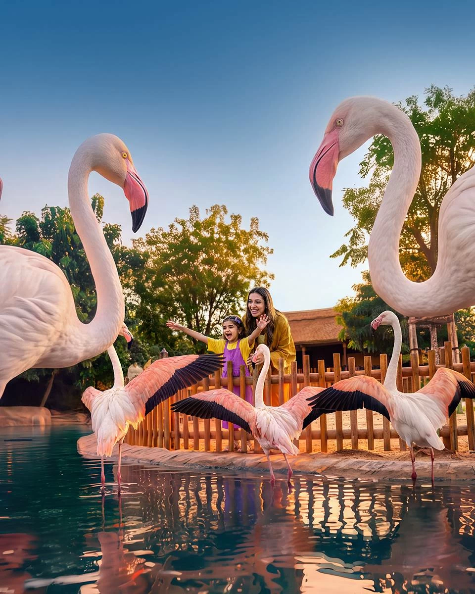 ‘Birds Kingdom’, ‘Echoes of the Wild’ and ‘Birds of Prey’ offer visitors fascinating insights into animal behaviour while highlighting Dubai Safari Park’s conservation message and its efforts to protect wildlife. Picture credit: GDMO
