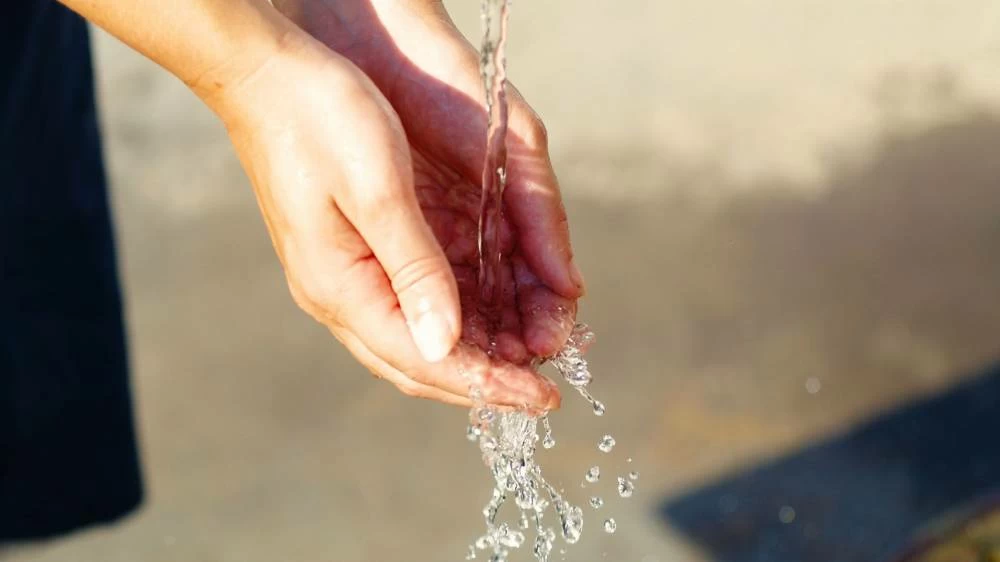 Applications are open to UAE citizens and residents aged 18 to 35 from across the country who are interested in content creation, media, water, the environment or sustainability. Picture for illustrative purposes. Picture credit: Pexels