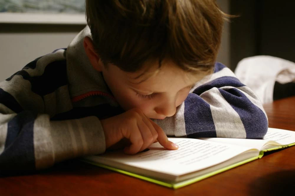 School circulars are urging parents to encourage their children to read daily, with a focus on understanding texts, extracting information, building conclusions, interpreting ideas and linking the parts of the content read. Picture for illustrative purposes. Picture credit: Unsplash